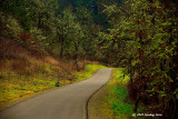 Middle Fork Path at Dorris Ranch