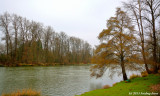 D7100-012915-081.jpg