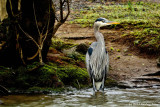 _DSC5233x.jpg