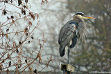 _DSC5297X.jpg