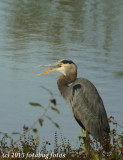 V2-102715-616.jpg