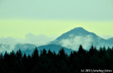 P900-111615-100.jpg