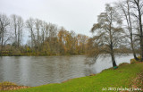 D3-120515-003.jpg