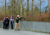 Photographers in the Ponds