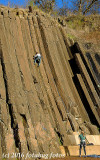 Climbing the Columns