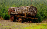 Old Logging Wagon