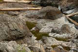 In the gorge #9