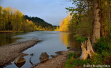 Morning Sun on the Willamette River