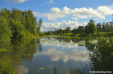 One of the Delta Ponds
