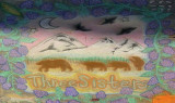 V2-081916-008.JPG