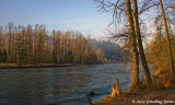 Golden Light of Morning on the Willamette