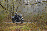 Patrolling the Mill Race Path