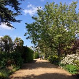 The Winter Border (in spring)