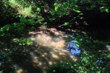 Just a trickle