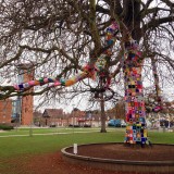 The Remembering Tree III