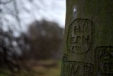 Making a mark...