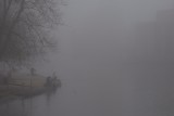 Hardy anglers...