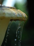 A smaller splash