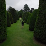 Dwarfed