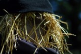Straw man