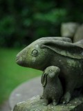 Hare-raising