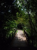 Tunnel bridge