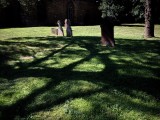 Interlaced