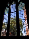In the Swan Reading Room...