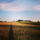 The golden hour I