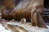 here's a remarkable sculpture of two camels and a man
