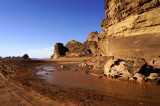 the camels have been taking advantage of the collected rainwater