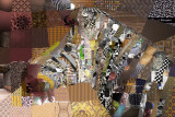 zebra-collage