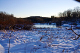 Snowy Pond WEB.jpg