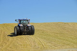 preparing for the long winter in dairy country