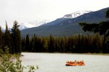 Athabasca River tour,Jasper NP