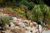 Desert Section,Botanical Gardens