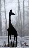 Snowy Giraffe2.jpg