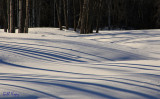 Snow shadows4.jpg