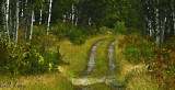 Road in the Woods.jpg