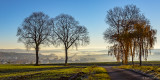 Sachsenhausen im Morgennebel