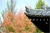 Kyoto, Chishaku-in Temple