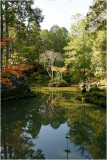 Saihoji Temple (Temple des mousses)