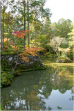 Saihoji Temple (Temple des mousses)