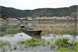 Iwakuni