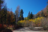 At Ferndell Spring Trailhead parking