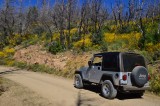 The Jeep on FR 42 in the Horseshoe Two Burn area, Chiricahua Mountains