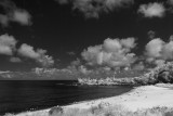 20090913-101318-_IGP4813.JPG