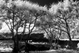 20141009-091027-IMGP0016.JPG
