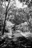 20150621-122323-IMGP0198.JPG