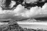 20100514-083048-_IGP4989.JPG